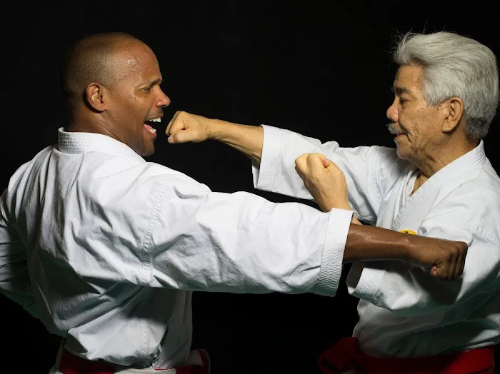 Brian Hobson Karate Studios Picture 10