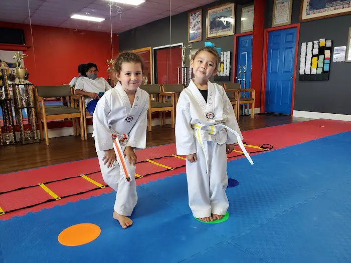 Park's Taekwondo Academy Picture 2