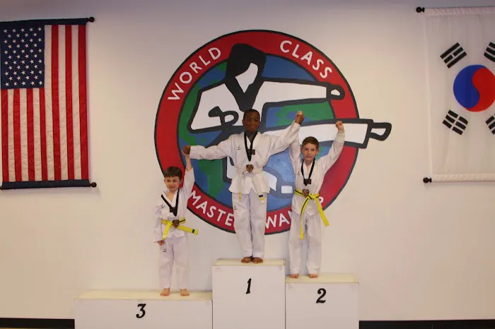 Master Hwang's World Class Tae Kwon Do Picture 9