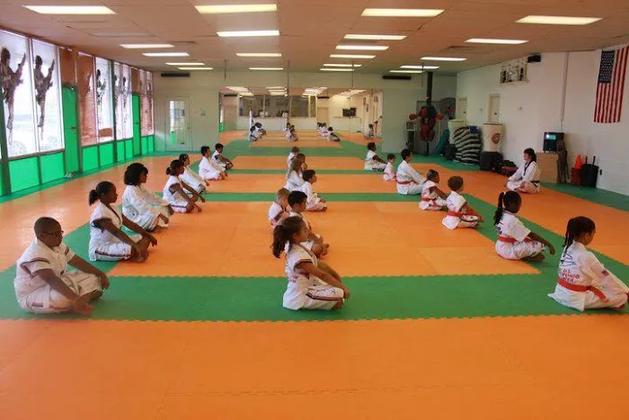 U.S. Taekwondo Center Picture 5