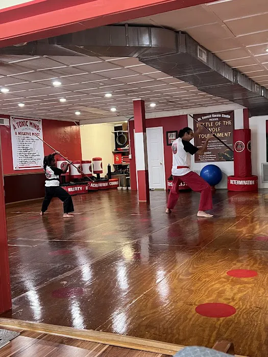 Mt. Everest Karate Studio - The Dojo Picture 1