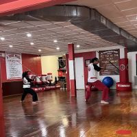 Mt. Everest Karate Studio - The Dojo ico