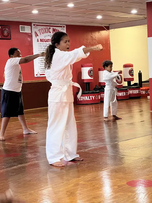 Mt. Everest Karate Studio - The Dojo Picture 8
