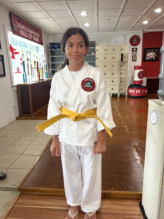 Mt. Everest Karate Studio - The Dojo Picture 9