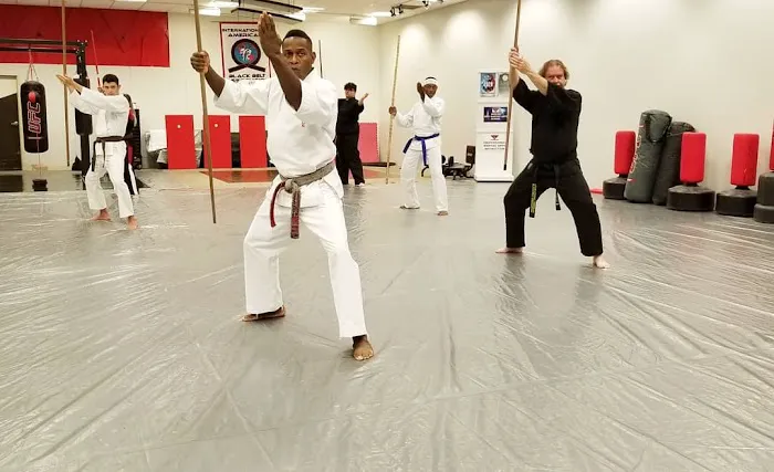 Master Hill's Red Dragon Martial Arts Picture 3