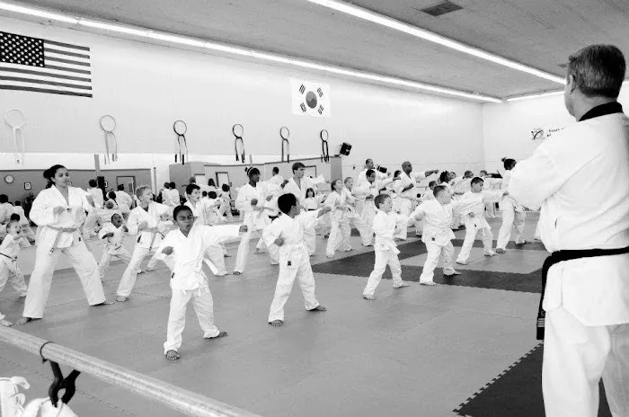 South Norfolk Martial Arts, LCC Picture 2