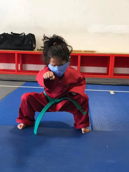 Kim's Hapkido Martial Arts Picture 2