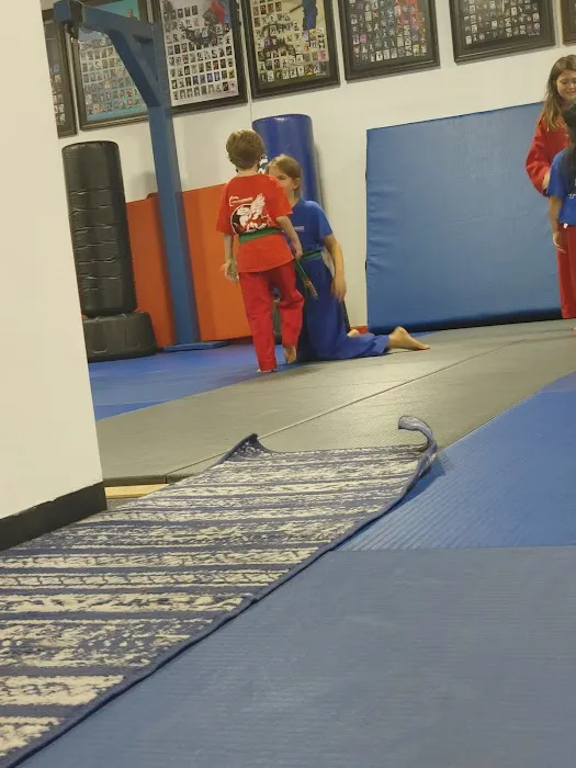 Kim's Hapkido Martial Arts Picture 4