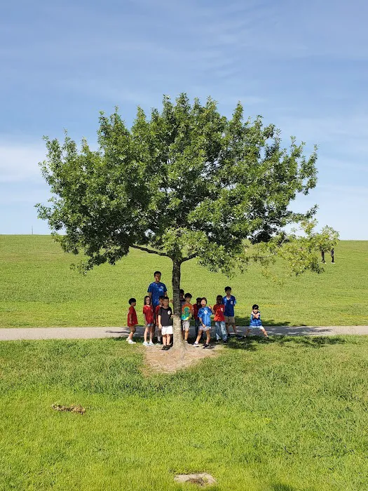 SKY TAEKWONDO Picture 8