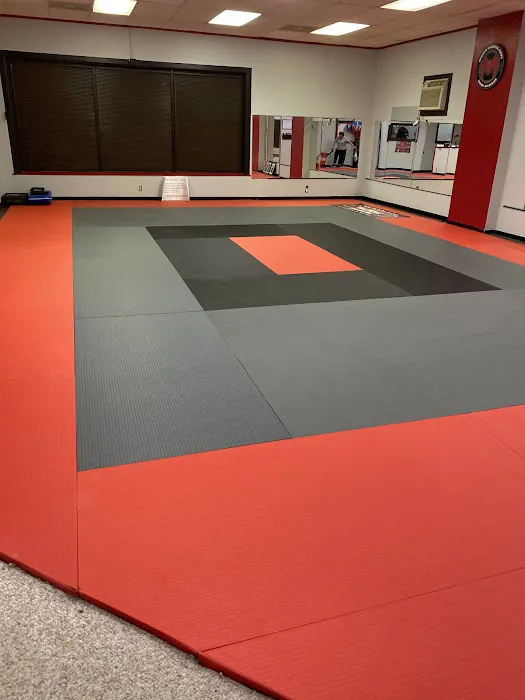 Mason Martial Arts Academy Picture 2