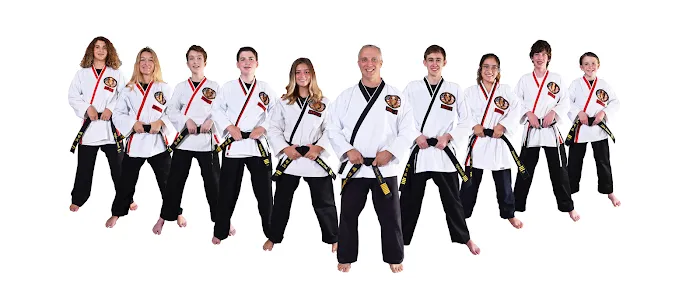 Virginia TaeKwonDo & Jiu-Jitsu Academy Picture 1