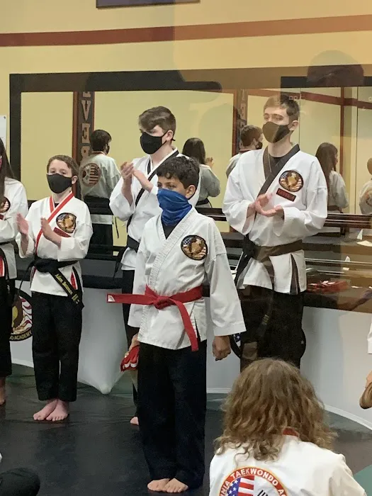 Virginia TaeKwonDo & Jiu-Jitsu Academy Picture 2