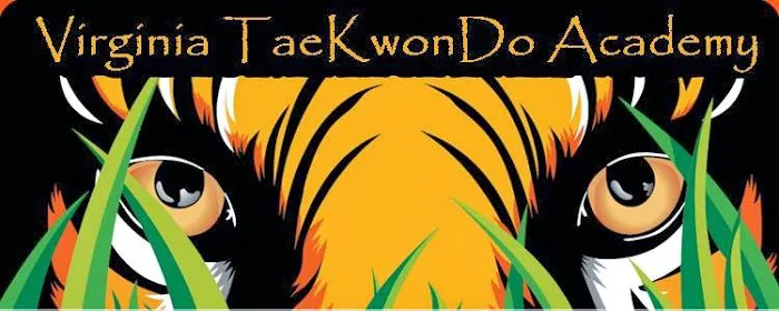 Virginia TaeKwonDo & Jiu-Jitsu Academy Picture 6