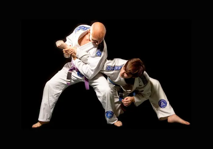 Norfolk Karate Academy/Gracie Jiu Jitsu Norfolk Picture 1