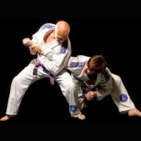 Norfolk Karate Academy/Gracie Jiu Jitsu Norfolk ico