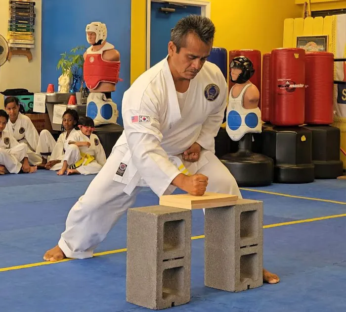 Jack Dark Tae Kwon Do Champions Martial Arts Picture 7