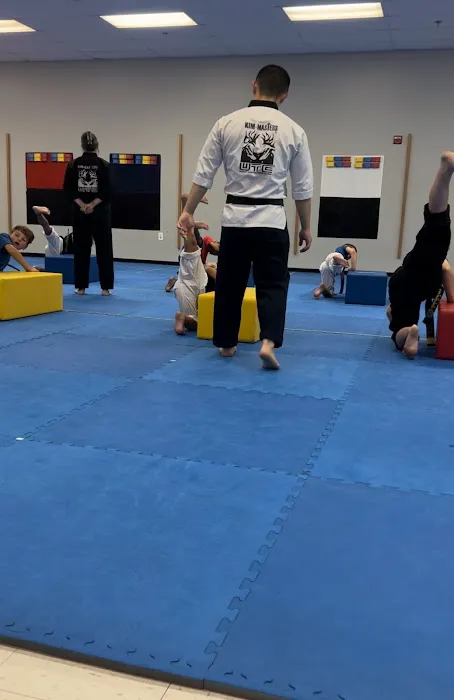 Kim Masters TaeKwonDo Picture 2
