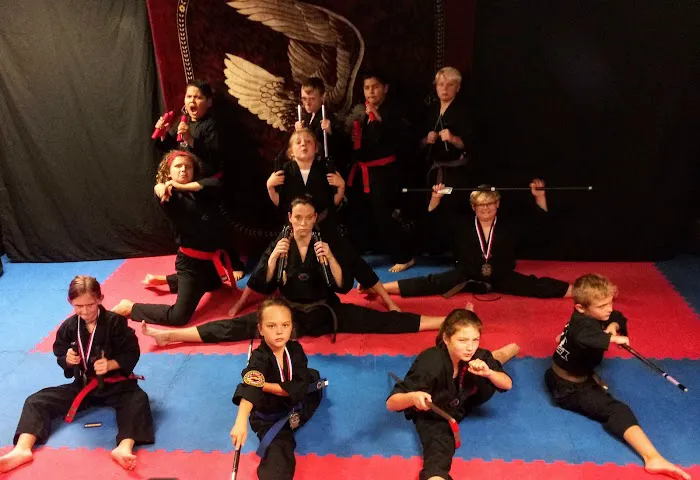 Chae's Taekwondo Academy Picture 1