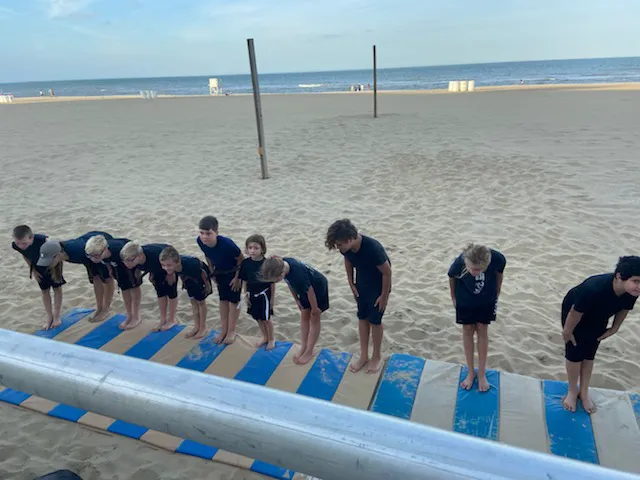 Chae's Taekwondo Academy Picture 2