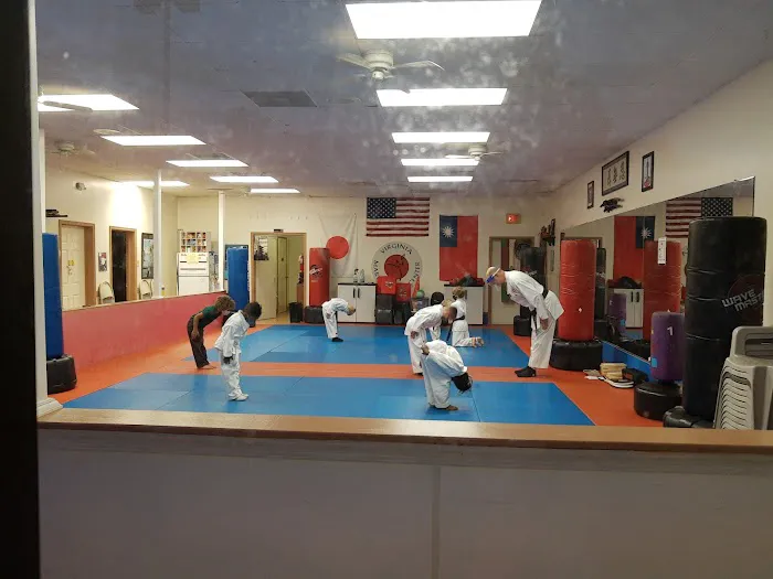 Virginia Martial Arts Center Picture 6