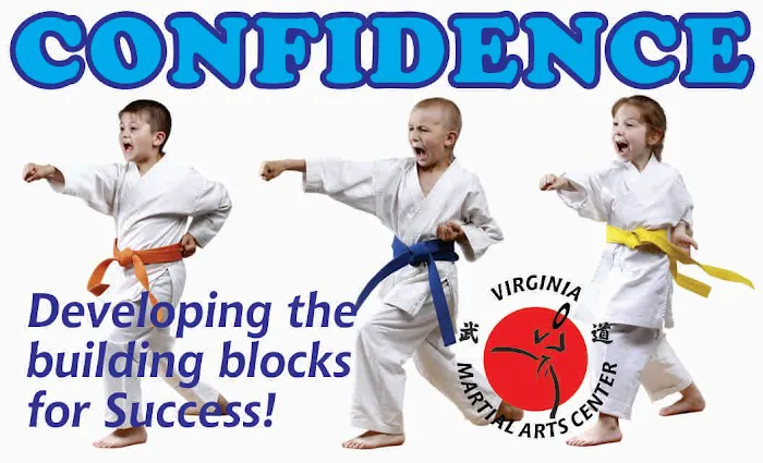 Virginia Martial Arts Center Picture 8