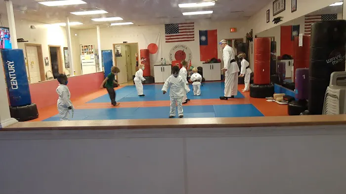 Virginia Martial Arts Center Picture 9
