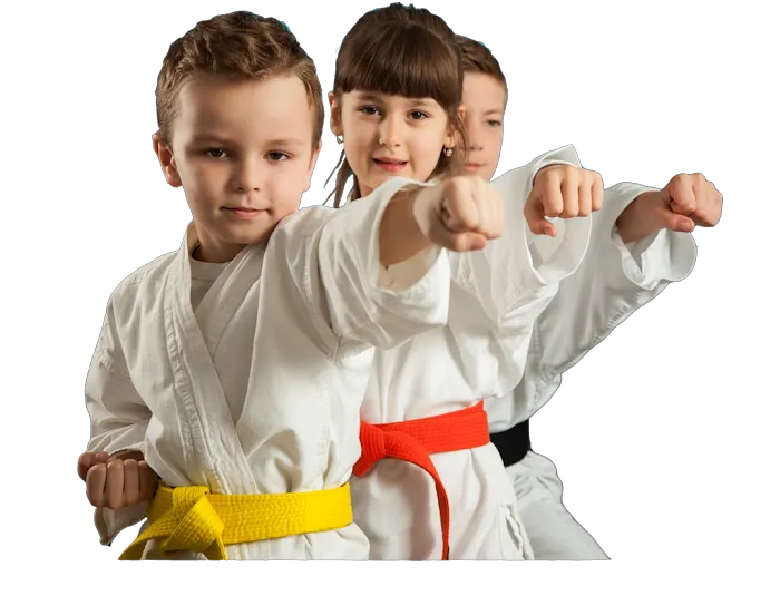 Virginia Martial Arts Center Picture 10