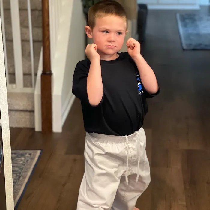 TIGER Academy of Martial Arts Picture 2