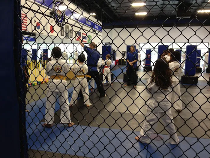 TIGER Academy of Martial Arts Picture 6