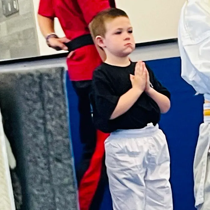 TIGER Academy of Martial Arts Picture 4