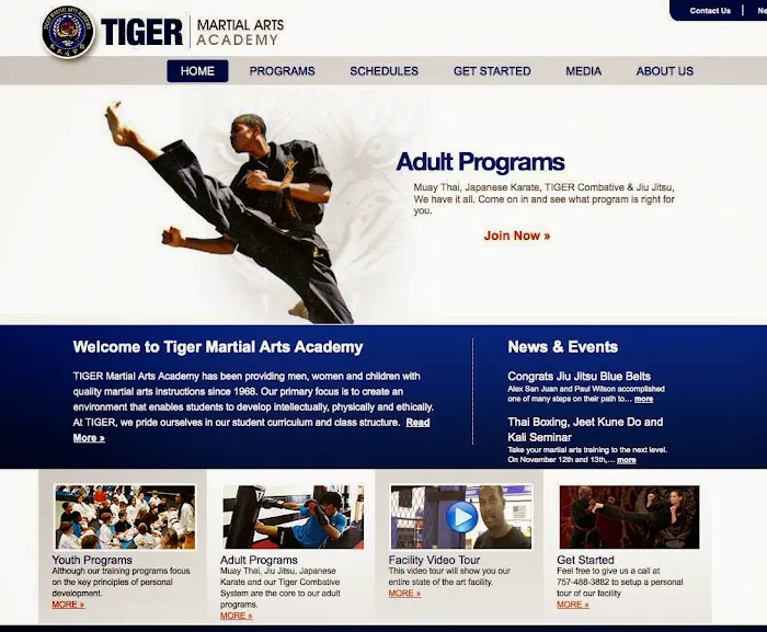 TIGER Academy of Martial Arts Picture 9