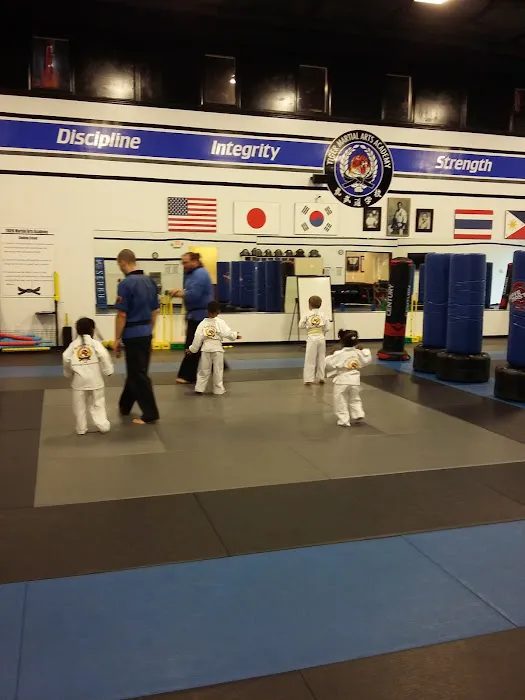 TIGER Academy of Martial Arts Picture 7
