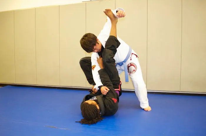 TIGER Academy of Martial Arts Picture 10