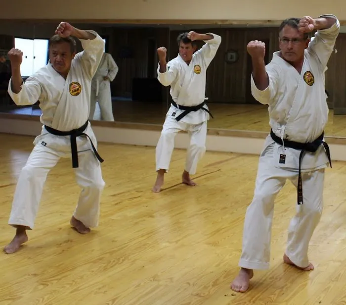 OBI - Okinawan Budo Institute Picture 9