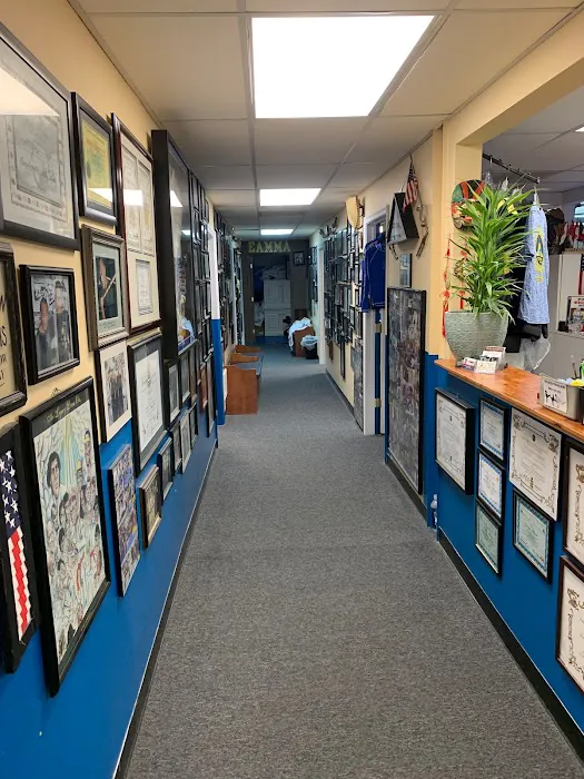 Eastern Academy of Mixed Martial Arts Picture 3