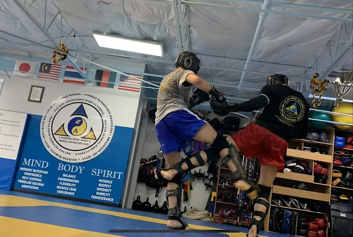 Eastern Academy of Mixed Martial Arts Picture 8