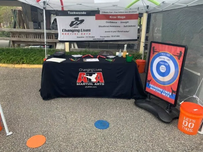 Changing Lives Martial Arts Holland Picture 1