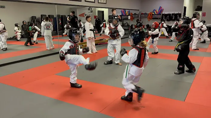 Changing Lives Martial Arts Holland Picture 7