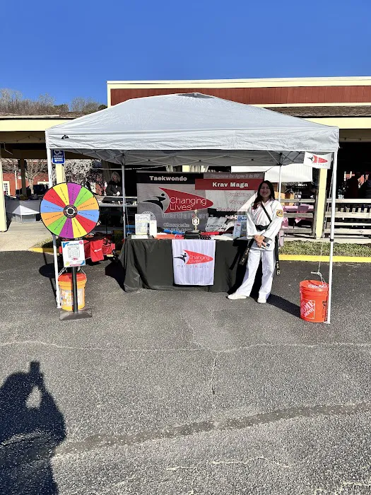 Changing Lives Martial Arts Holland Picture 10