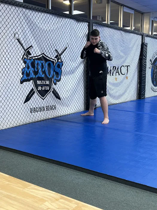 Impact Martial Arts Academy Picture 4