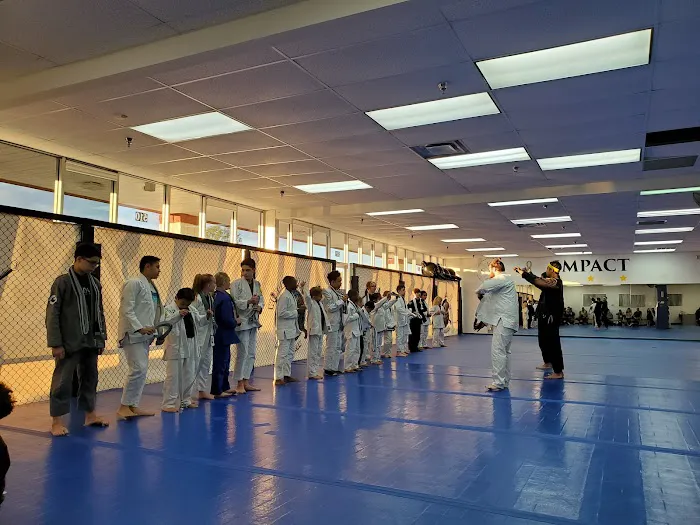 Impact Martial Arts Academy Picture 3