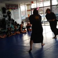 Impact Martial Arts Academy ico