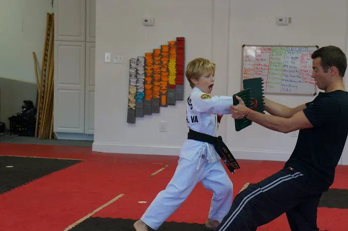 Great Neck Martial Arts Academy Picture 2