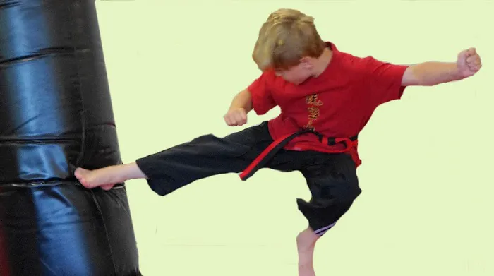 Great Neck Martial Arts Academy Picture 4