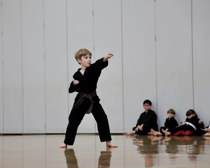 Great Neck Martial Arts Academy Picture 7