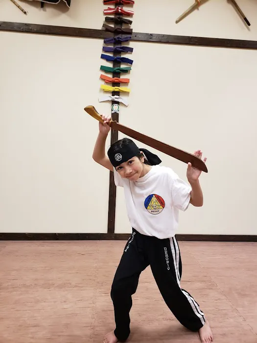 Applied Martial Arts Academy Picture 4