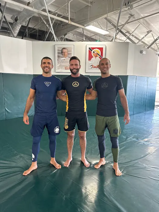 Gracie Jiu-Jitsu Virginia Beach Picture 6