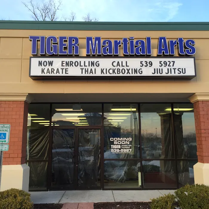 TIGER Academy of Martial Arts Picture 2