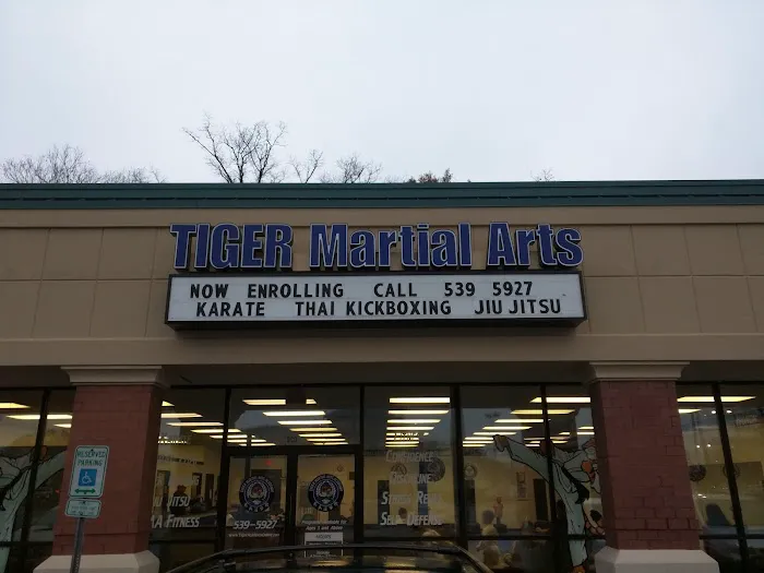 TIGER Academy of Martial Arts Picture 1