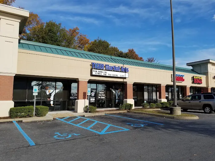 TIGER Academy of Martial Arts Picture 3